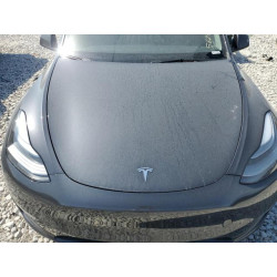 2024 TESLA MODEL Y 7SAYGDEF6RF156631 56289355
