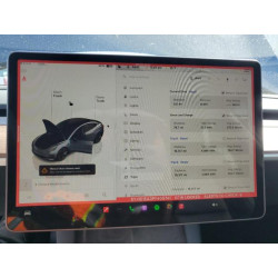 2023 TESLA MODEL 3 5YJ3E1EA3PF405741 55800195