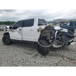 2020 FORD F-150 1FTEW1E58LKE78819 55860945