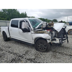 2020 FORD F-150 1FTEW1E58LKE78819 55860945
