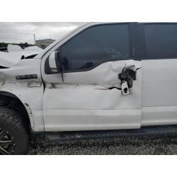 2020 FORD F-150 1FTEW1E58LKE78819 55860945