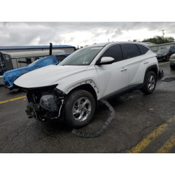 2023 HYUNDAI TUCSON 5NMJACAE7PH248186 58131345