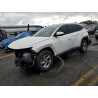 2023 HYUNDAI TUCSON 5NMJACAE7PH248186 58131345