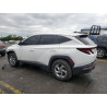 2023 HYUNDAI TUCSON 5NMJACAE7PH248186 58131345