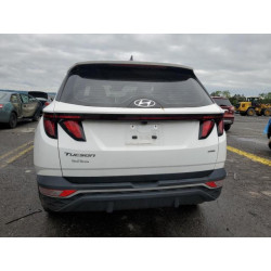 2023 HYUNDAI TUCSON 5NMJACAE7PH248186 58131345