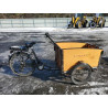 2022 UK DOLLY BB202201022 88975995