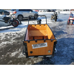 2022 UK DOLLY BB202201022 88975995
