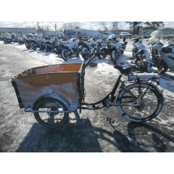 2022 UK DOLLY BB202201022 88975995