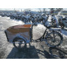 2022 UK DOLLY BB202201022 88975995