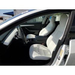 2023 TESLA MODEL 3 5YJ3E1EAXPF422956 52500285