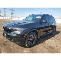2025 BMW X5 5UX23EU00S9Y75230 54523985