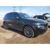 2025 BMW X5 5UX23EU00S9Y75230 54523985