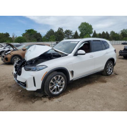 2025 BMW X5 5UX43EU08S9X98972 56246365