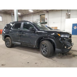 2025 HONDA PILOT 5FNYG1H65SB086794 52236335
