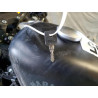 2022 HARLEY-DAVIDSON XL883 N 1HD4LE211NB410196 57603295