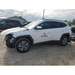 2024 HYUNDAI TUCSON KM8JBCD15RU194268 58512875