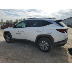 2024 HYUNDAI TUCSON KM8JBCD15RU194268 58512875