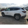2024 HYUNDAI TUCSON KM8JBCD15RU194268 58512875
