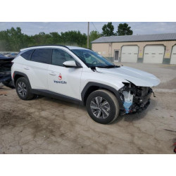 2024 HYUNDAI TUCSON KM8JBCD15RU194268 58512875