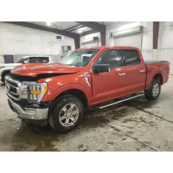 2023 FORD F-150 1FTFW1E86PKF56129 56950375