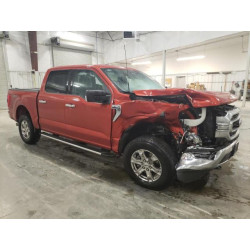 2023 FORD F-150 1FTFW1E86PKF56129 56950375