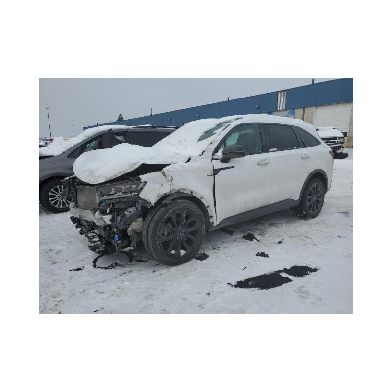 2023 KIA SORENTO 5XYRK4LF0PG177659 45728575 2023 KIA SORENTO 5XYRK4LF0PG177659 45728575