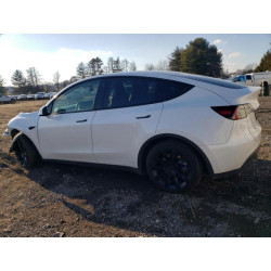 2023 TESLA MODEL Y 7SAYGAEE1PF616913 43754085