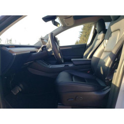 2023 TESLA MODEL Y 7SAYGAEE1PF616913 43754085