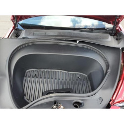 2025 TESLA MODEL 3 5YJ3E1EA4SF897642 55498795