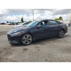 2023 HYUNDAI ELANTRA KMHLS4AG0PU562294 55501425