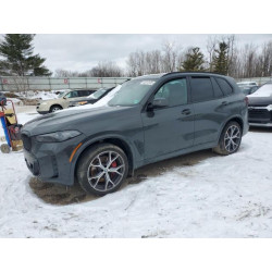 2024 BMW X5 5UX23EU08R9U81596 44313135
