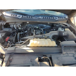 2020 FORD F-150 1FTEW1EP5LKF53395 54232015