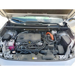 2023 TOYOTA RAV4 JTMRWRFV2PD196278 60666565
