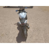 2024 SUZUKI GSXR750 JS1GR7MA0R7101635 54399895