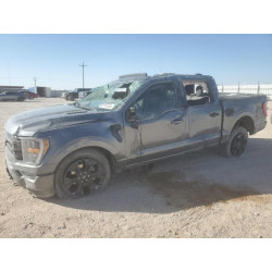 2023 FORD F-150 1FTFW1E56PFC41104 54782355