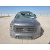 2023 FORD F-150 1FTFW1E56PFC41104 54782355