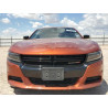 2023 DODGE CHARGER 2C3CDXBG2PH532302 56389685