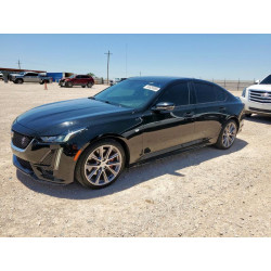 2021 CADILLAC CT5 1G6DP5RK8M0145519 60626655
