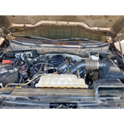 2022 FORD F-150 1FTFW1E58NKE65771 60795305