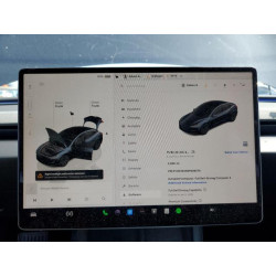 2025 TESLA MODEL 3 5YJ3E1EA6SF908074 54786175
