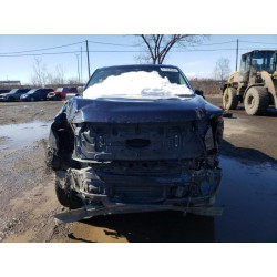 2023 FORD F150 LIGHT 1FT6W1EV4PWG24488 51523945
