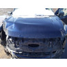 2023 FORD F150 LIGHT 1FT6W1EV4PWG24488 51523945