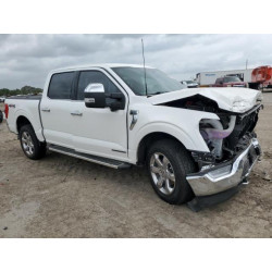 2022 FORD F-150 1FTFW1ED9NFB71781 54873495