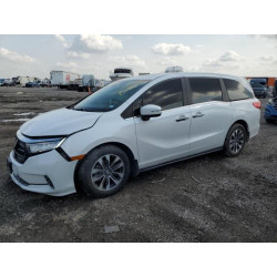 2024 HONDA All Models 5FNRL6H66RB000478 54890085