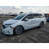 2024 HONDA All Models 5FNRL6H66RB000478 54890085