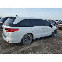 2024 HONDA All Models 5FNRL6H66RB000478 54890085