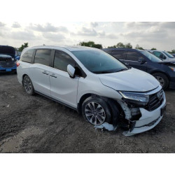 2024 HONDA All Models 5FNRL6H66RB000478 54890085