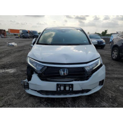 2024 HONDA All Models 5FNRL6H66RB000478 54890085