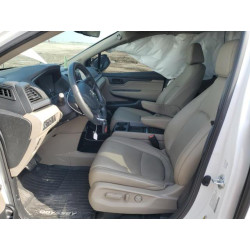 2024 HONDA All Models 5FNRL6H66RB000478 54890085