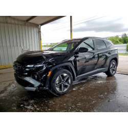 2025 HYUNDAI TUCSON 5NMJBCDE2SH467719 59328155